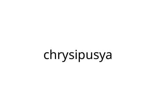 chrysipusya