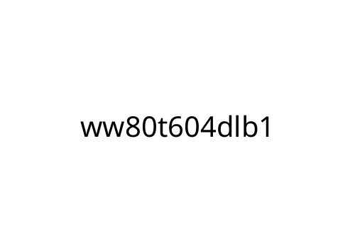 ww80t604dlb1
