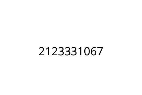 2123331067