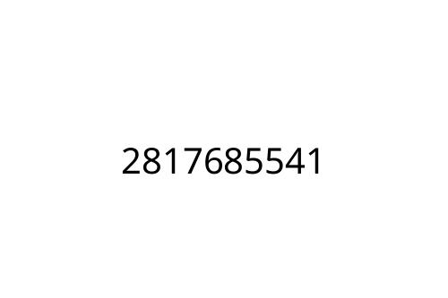 2817685541