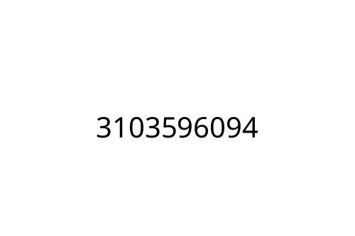 3103596094