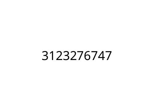 3123276747