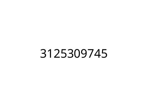 3125309745