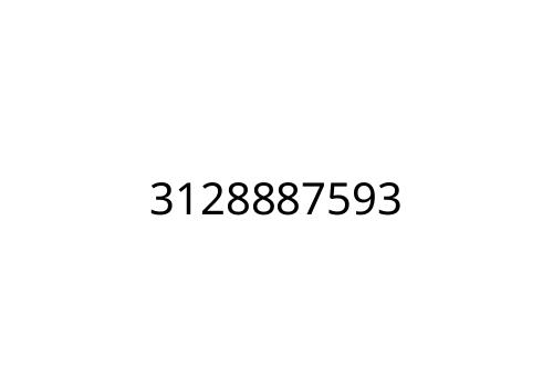 3128887593