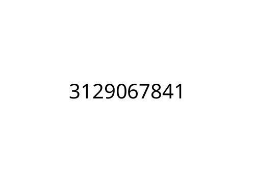 3129067841