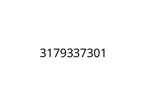 3179337301
