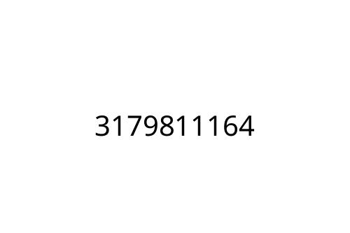3179811164