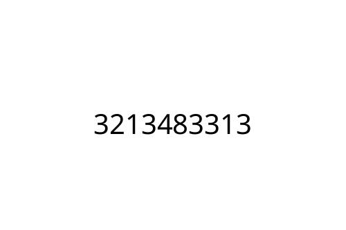 3213483313