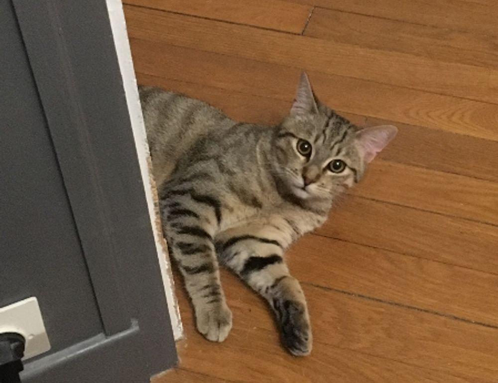 problem on computer 54axhg5