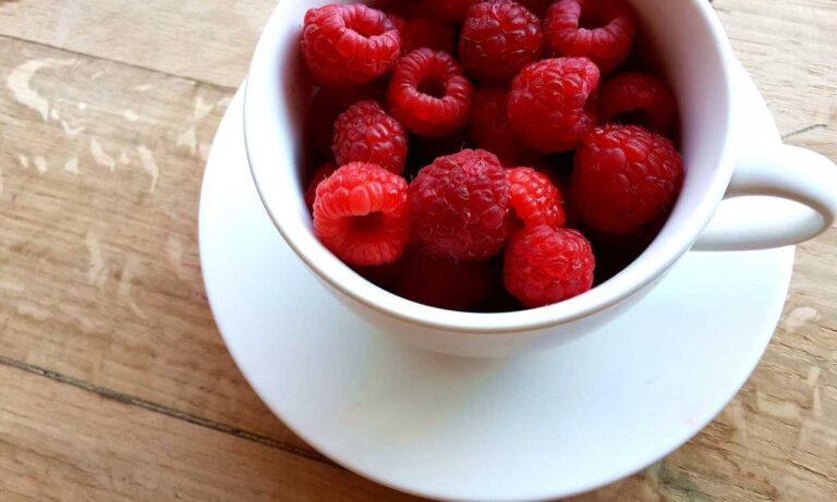 what to serve with wantrigyo