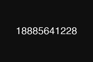 18885641228