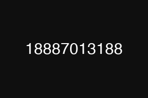 18887013188