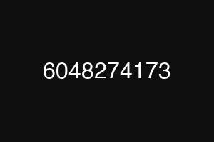 6048274173