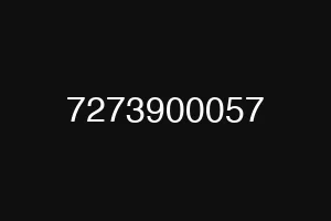 7273900057