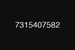 7315407582