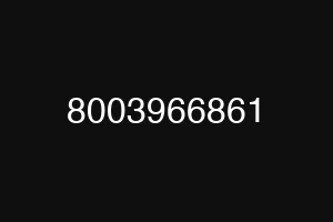 8003966861