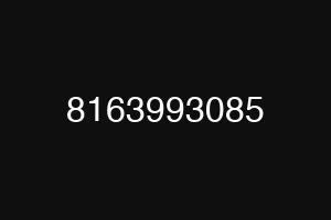 8163993085