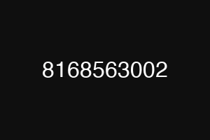 8168563002