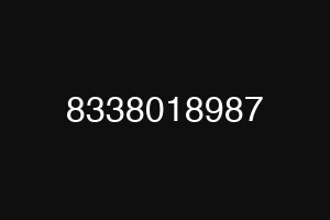 8338018987