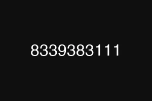 8339383111