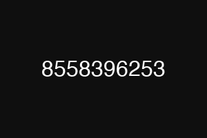 8558396253