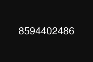 8594402486