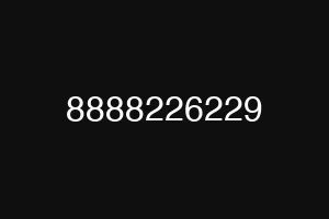 8888226229