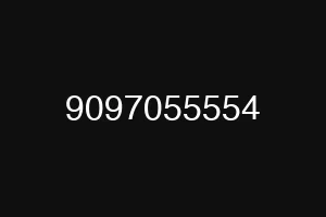 9097055554