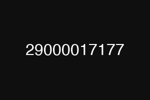 29000017177