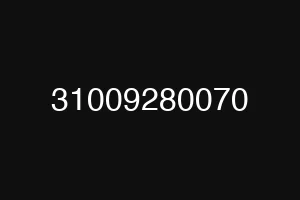 31009280070