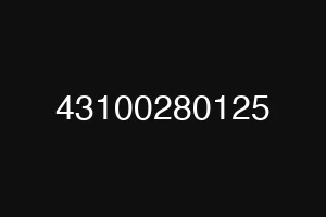 43100280125