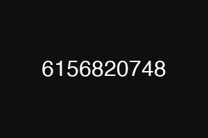 6156820748