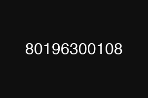 80196300108