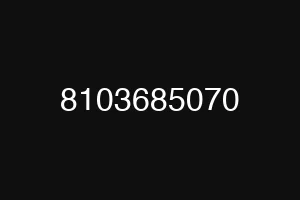 8103685070