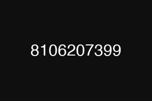 8106207399