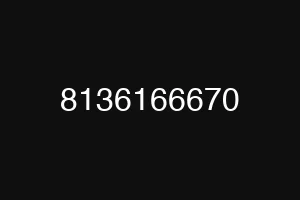 8136166670