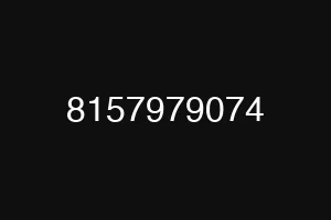 8157979074
