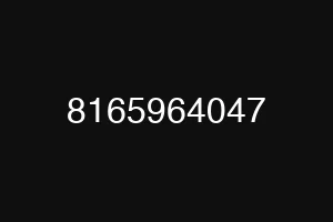 8165964047