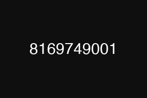 8169749001