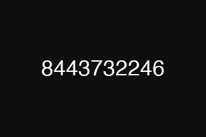 8443732246