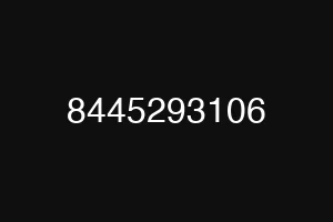 8445293106