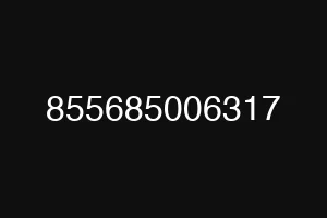 855685006317