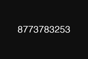 8773783253