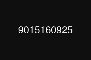 9015160925