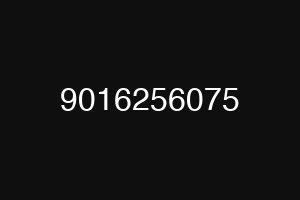 9016256075