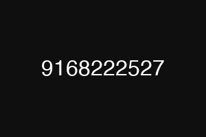 9168222527