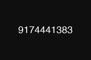 9174441383