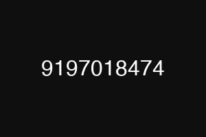 9197018474