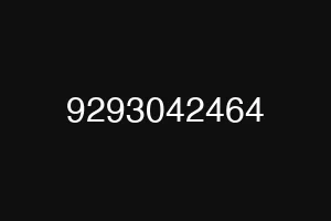 9293042464