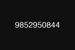 9852950844